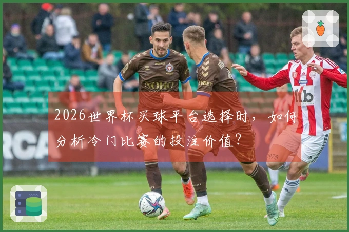 2026世界杯买球平台选择时，如何分析冷门比赛的投注价值？