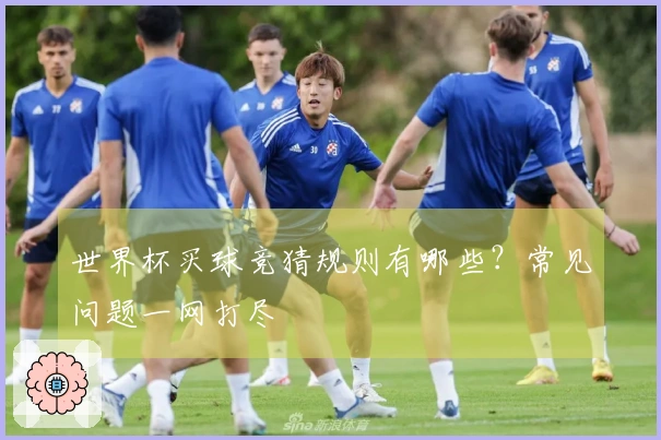 世界杯买球竞猜规则有哪些？常见问题一网打尽
