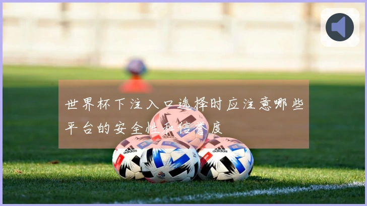 世界杯下注入口选择时应注意哪些平台的安全性和信誉度