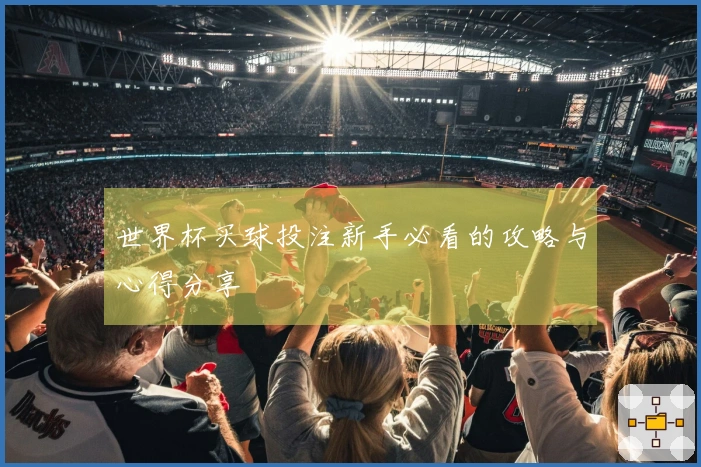 世界杯买球投注新手必看的攻略与心得分享