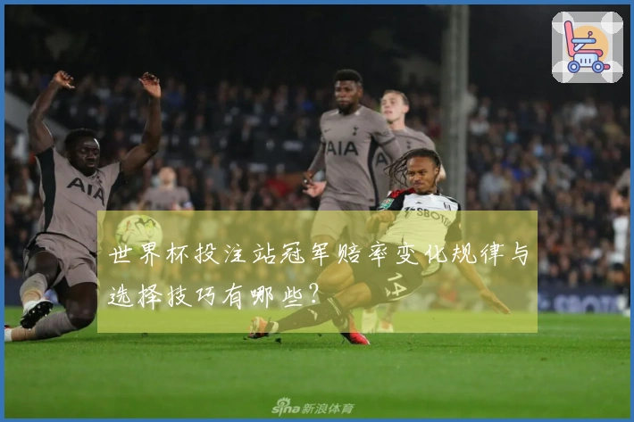 世界杯投注站冠军赔率变化规律与选择技巧有哪些？