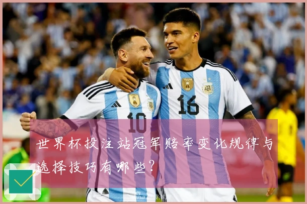 世界杯投注站冠军赔率变化规律与选择技巧有哪些？
