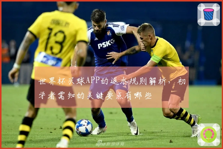 世界杯买球APP的返水规则解析，初学者需知的关键要点有哪些